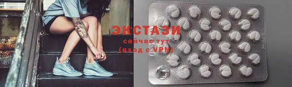 хмурый Арсеньев