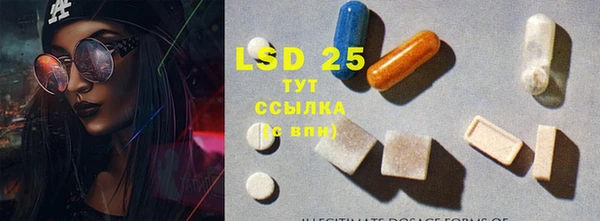 круглые Аркадак