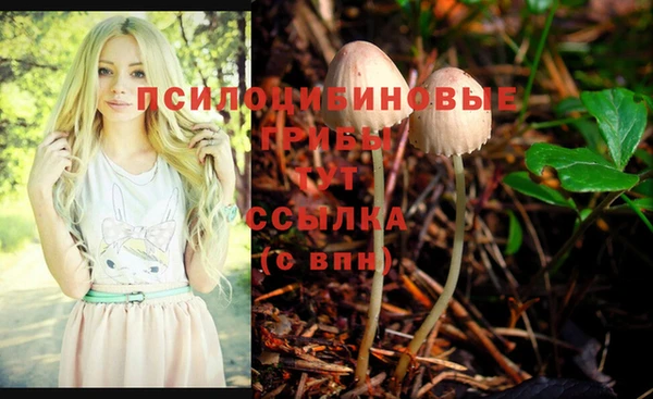 хмурый Арсеньев