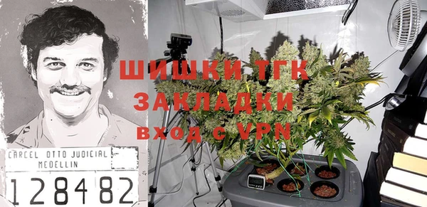 хмурый Арсеньев