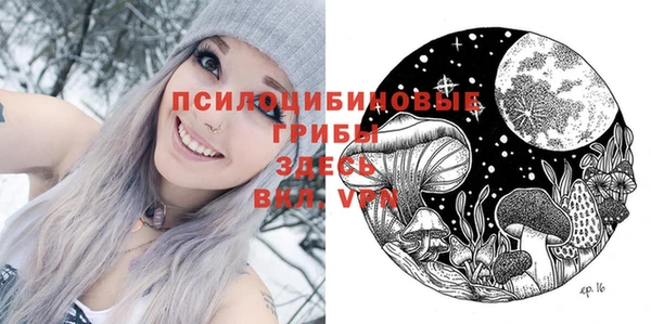 хмурый Армянск
