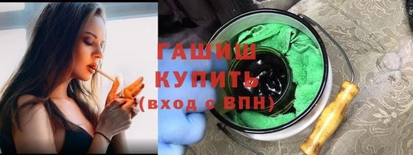 хмурый Арсеньев