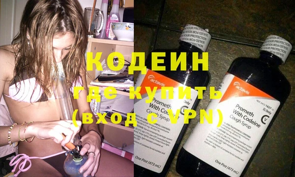 хмурый Арсеньев