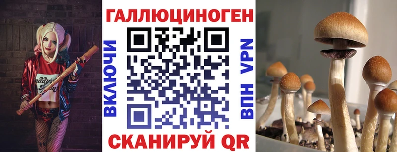 цены   мориарти формула  Псилоцибиновые грибы прущие грибы  Партизанск 